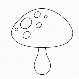  蘑菇