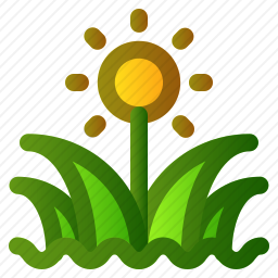 <em>植物</em>