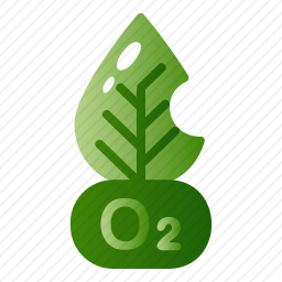 <em>氧气</em>