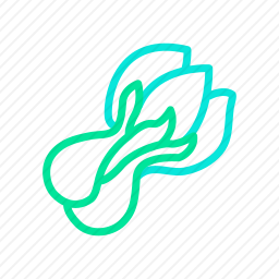 <em>蔬菜</em>