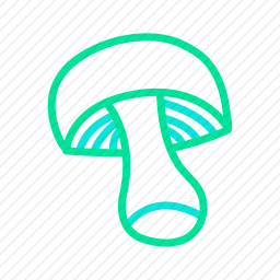 <em>蘑菇</em>