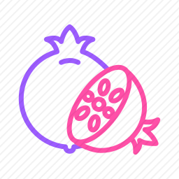 <em>石榴</em>