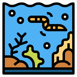 水族馆