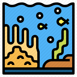 水族馆