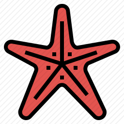海星