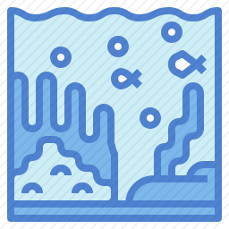 水族馆