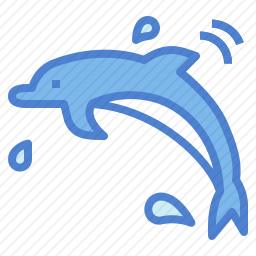 海豚
