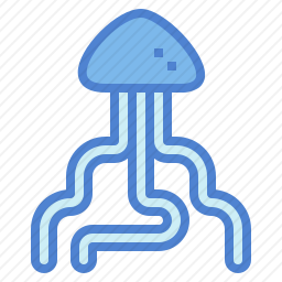 <em>水母</em>