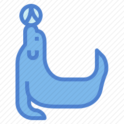 海豹