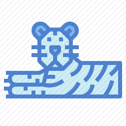 <em>老虎</em>