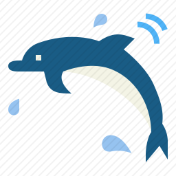 海豚