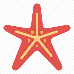海星