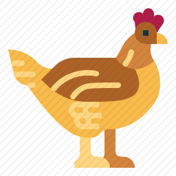 <em>鸡</em>