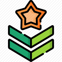 <em>军事</em>