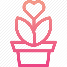花盆