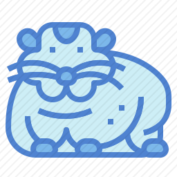 仓鼠