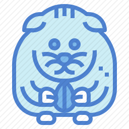 仓鼠