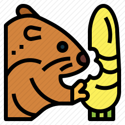 仓鼠