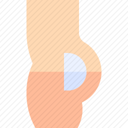 <em>臀肌</em>