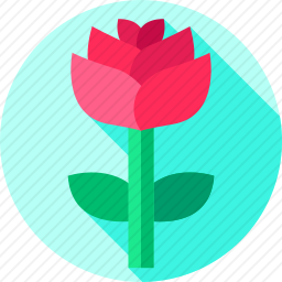 <em>玫瑰</em>