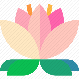 莲花