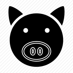 <em>猪</em>