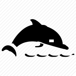  海豚