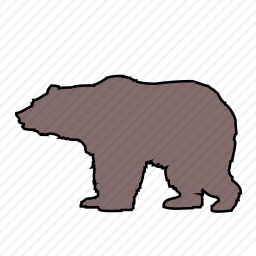  北极熊