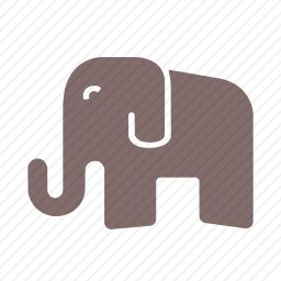  大象