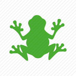 <em>青蛙</em>