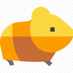 豚鼠