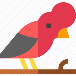 鸟