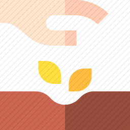 种植