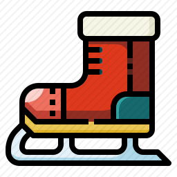 <em>溜冰鞋</em>
