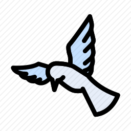 <em>鸽子</em>
