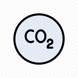 <em>二氧化碳</em>
