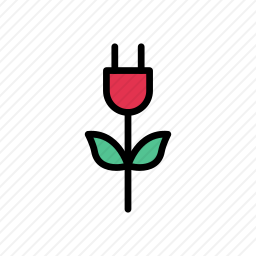 <em>插头</em>
