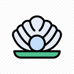 贝壳