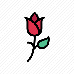 <em>玫瑰</em>