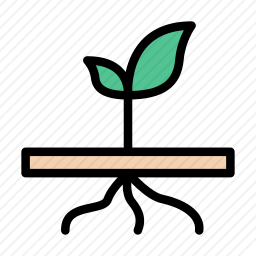 <em>生根</em><em>萌芽</em>