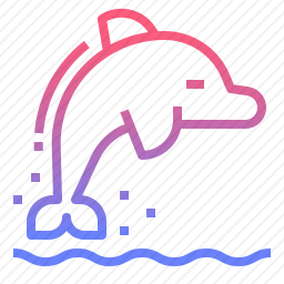 海豚