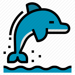 海豚