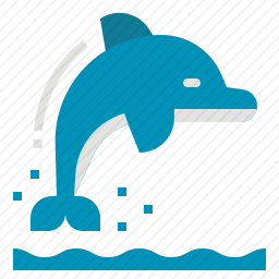 海豚