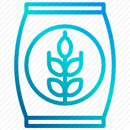 大麦