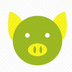  猪