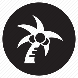 椰子树