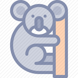 <em>考拉</em>