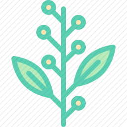 植物