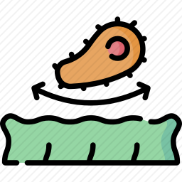 抗菌织物