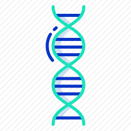 DNA